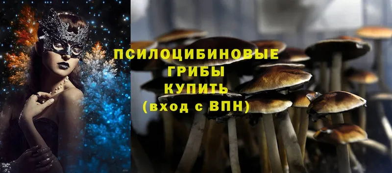 Галлюциногенные грибы Cubensis  hydra зеркало  Мирный 