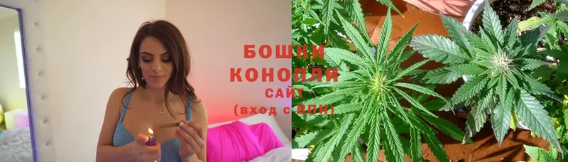 дарк нет состав  Мирный  Шишки марихуана Ganja 